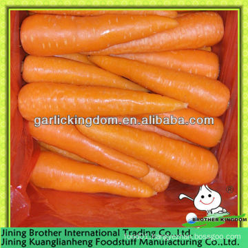 plastic carrot